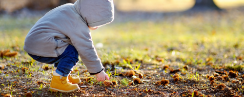 Child picking up a pinecone