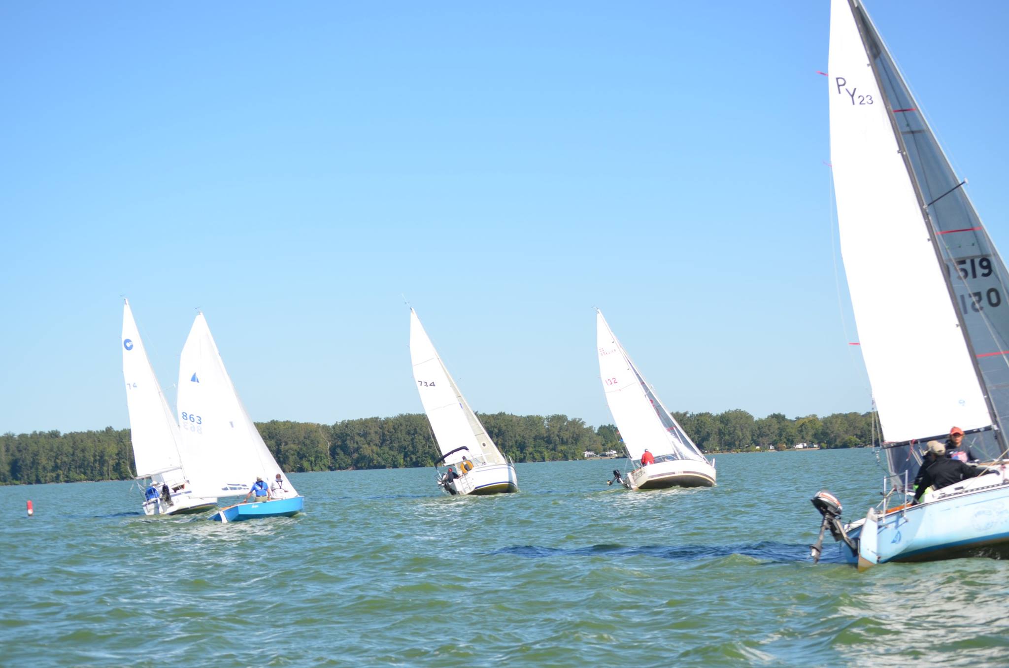 sailboat races near me today